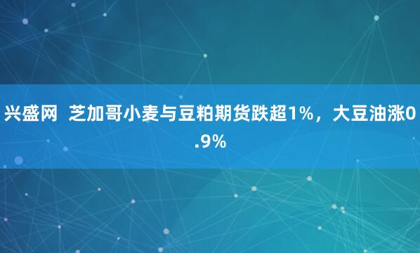 兴盛网  芝加哥小麦与豆粕期货跌超1%，大豆油涨0.9%