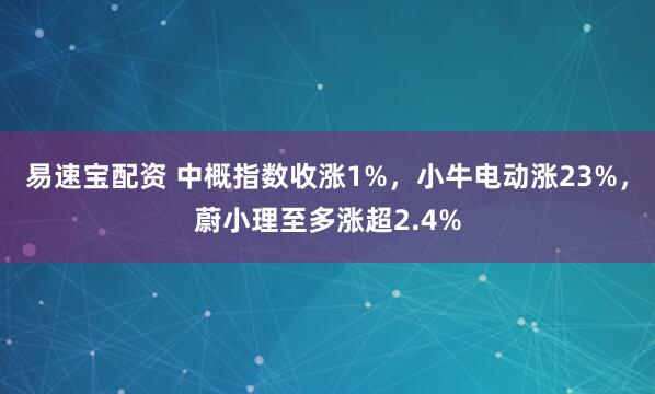 易速宝配资 中概指数收涨1%，小牛电动涨23%，蔚小理至多涨超2.4%